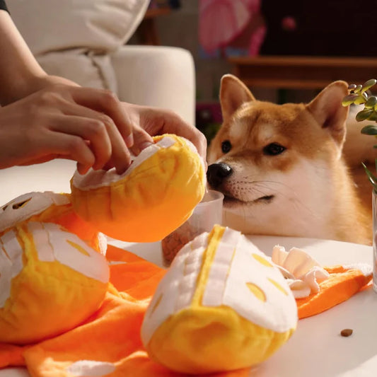 Orange Peel Snuffle Mat